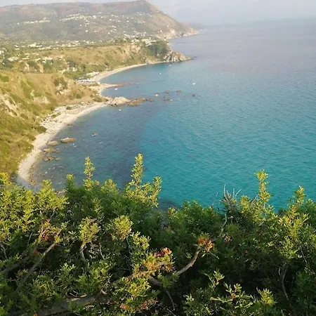 Mare